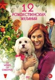 12 Рождественских желаний (12 Wishes of Christmas) (2011)