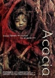 Акация (Akasia (Acacia)) 2003