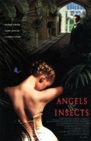 Ангелы и насекомые (Angels and insects) 1995