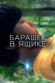 Барашек в ящике (2026)