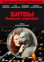 Битвы божьих коровок 2007
