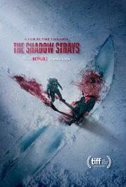 Блуждающая тень (The Shadow Strays) 2024