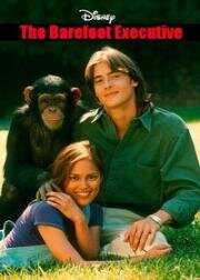 Босоногий директор (Босой руководитель) (The Barefoot Executive) 1995