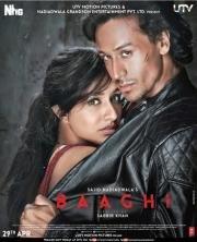 Бунтарь (Baaghi) 2016