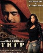 Жил-был тигр (Ek Tha Tiger) 2012
