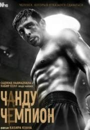 Чанду чемпион (Chandu Champion) 2024