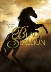 Черный скакун (The Black Stallion) (1979)