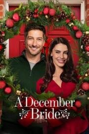 Декабрьская невеста (2016)
