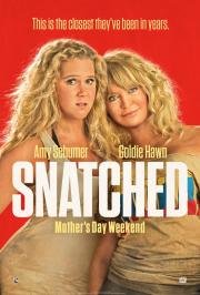 Дочь и мать её (Snatched) (2017)