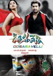 Хамелеон (Oosaravelli) 2011
