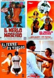 Хитрый парень (Обнаженная виолончель) (Il merlo maschio) (1971)