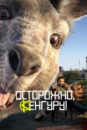 Осторожно, Кенгуру! (Die Känguru-Chroniken) 2020