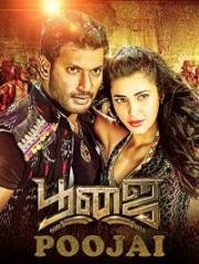 Игрок (Poojai) 2014