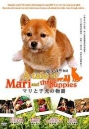 История Мари и трех щенков (Mari to koinu no monogatari) 2007