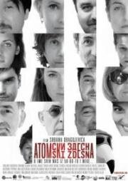 Из грязи – в князи (Atomski zdesna) 2014