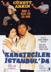 Каратисты в Стамбуле (Ниндзя убийца) (Karateciler istanbulda (Ninja Killer)) 1974