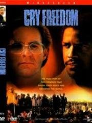 Клич свободы (Cry freedom) (1987)