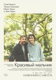 Красивый мальчик (Beautiful Boy) 2018