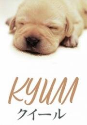 Куилл (Quill) 2004