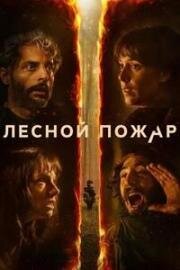 Лесной пожар (Огнезащитный барьер) (2026)