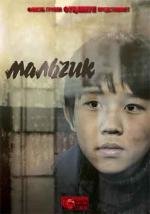 Мальчик (Boy) 2011