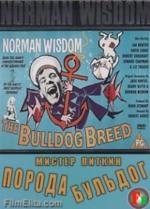 Мистер Питкин: Порода бульдог (The Bulldog Breed) 1960