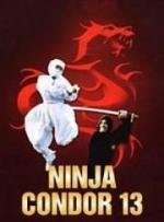 Ниндзя-кондор 13 (Ninjas, Condors 13) (1987)