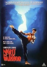Ночь бойца (Night of the Warrior) 1991