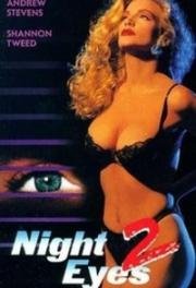 Ночное наблюдение 2 ( Ночная стража 2, Ночные глаза 2 ) (Night Eyes 2) 1991