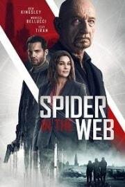 Старые шпионские игры (Spider in the Web) (2019)