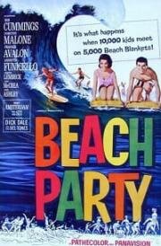 Пляжная вечеринка (Пляжные тусовщики) (1963)