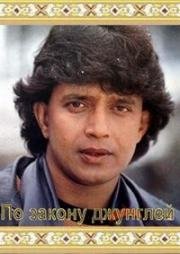 По закону джунглей (Shikari: The Hunter) 1991