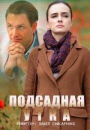 Подсадная утка 2016