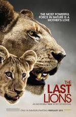 National Geographic: Последние львы (National Geographic: The Last Lions) (2011)