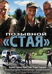 Позывной «Стая» 2013