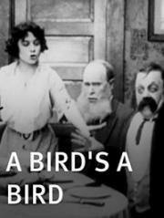 Птица есть птица (A Bird's a Bird) 1915