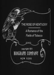 Роза из Кентукки (The Rose of Kentucky) 1911