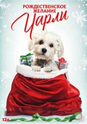 Рождественское желание Чарли (Charlie's Christmas Wish) 2020