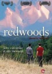 Секвойи вечнозеленые (Redwoods) 2009