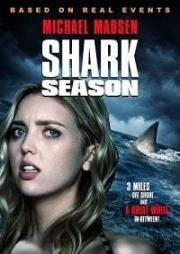 Сезон акул (Shark Season) 2020
