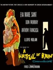 Шляпа с дождевой водой (Шляпа, полная дождя) (A Hatful of Rain) 1957