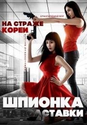 Шпионка на полставки (Part Time Spy (Bijeongkyujik teuksuyowon)) 2017