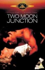 Слияние двух лун (Two Moon Junction) 1988