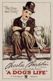 Собачья жизнь (A Dog's Life) (1918)