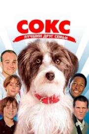 Сокс. Лучший друг семьи (Sox) (2013)