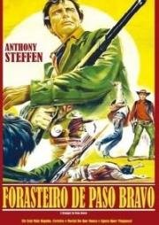 Стрелки Пасо Браво (Незнакомец в Пасо Браво) (Uno straniero a Paso Bravo (A Stranger in Paso Bravo)) 1968