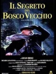 Тайна старого леса (Il segreto del bosco vecchio) 1993