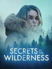 Тайны диких лесов (Remote Danger (Secrets in the Wilderness)) 2021