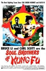 Тигр нападает снова (Тигр наносит ответный удар) (Bei po (Soul Brothers of Kung Fu, The Tiger Strikes Again)) (1977)