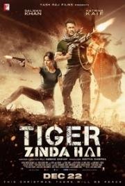 Тигр жив (Tiger Zinda Hai) 2017